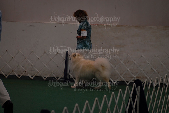 Obedience-2956