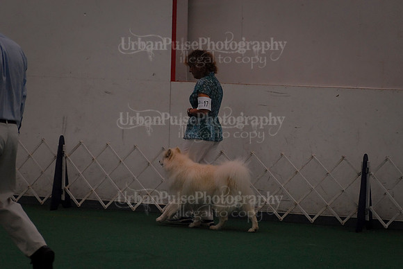 Obedience-2957