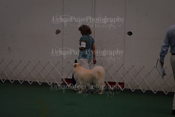Obedience-2958