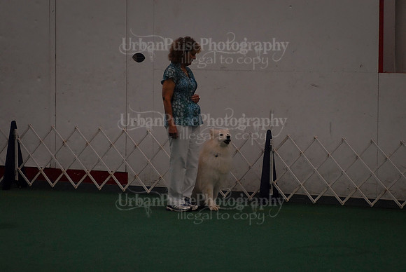 Obedience-2960
