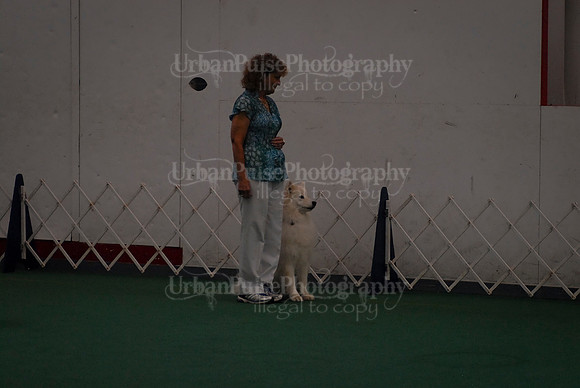 Obedience-2961