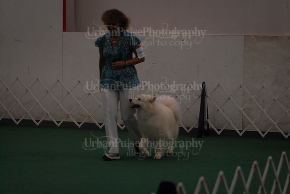 Obedience-2962