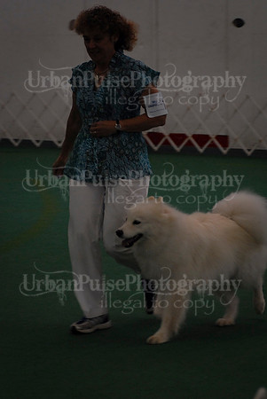 Obedience-2963