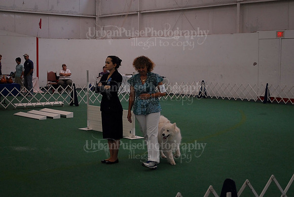 Obedience-2964