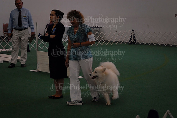 Obedience-2966