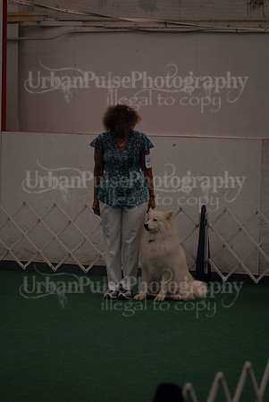 Obedience-2967