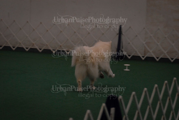 Obedience-2972