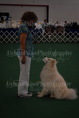 Obedience-2976
