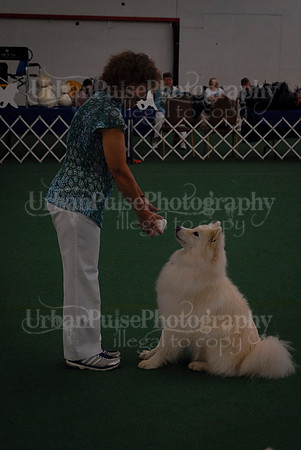 Obedience-2977