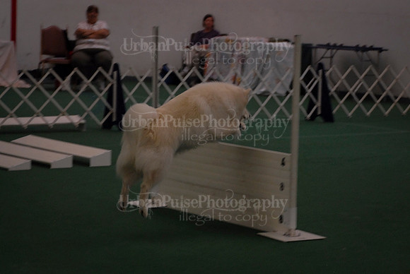 Obedience-2979