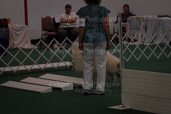 Obedience-2983