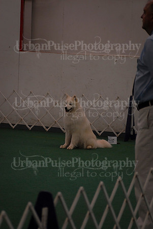 Obedience-2988
