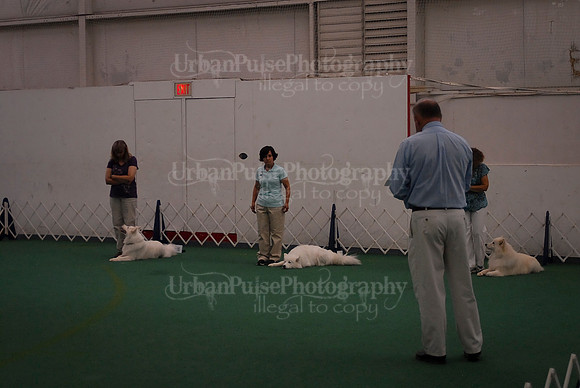 Obedience-2995