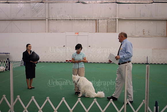 Obedience-2996
