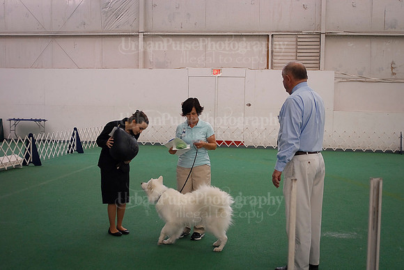 Obedience-2997