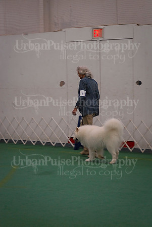 Obedience-3001