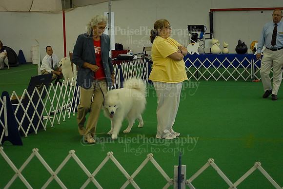 Obedience-3004