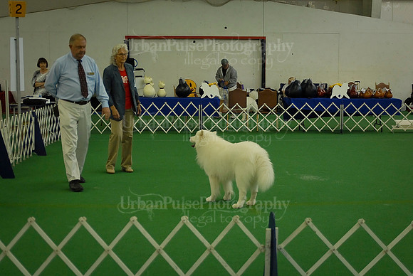 Obedience-3009