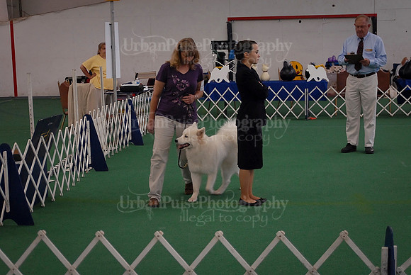 Obedience-3029
