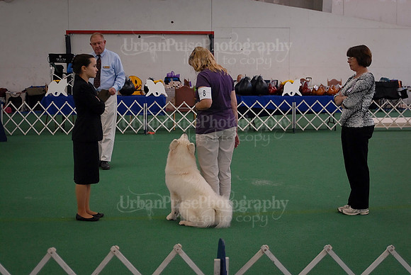 Obedience-3032