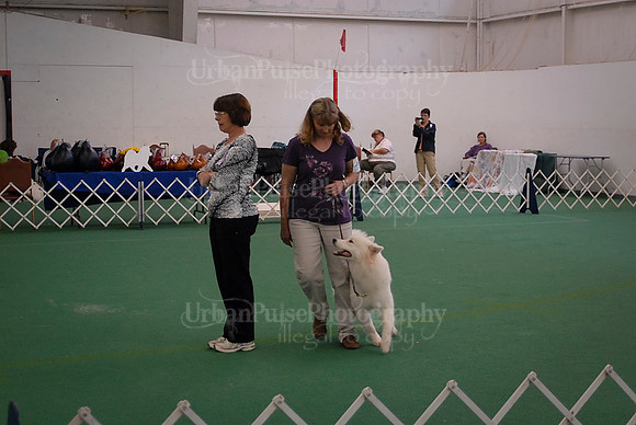 Obedience-3034