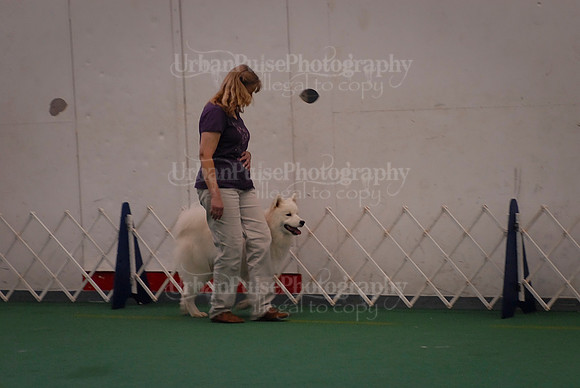 Obedience-3042