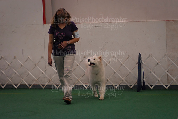 Obedience-3044