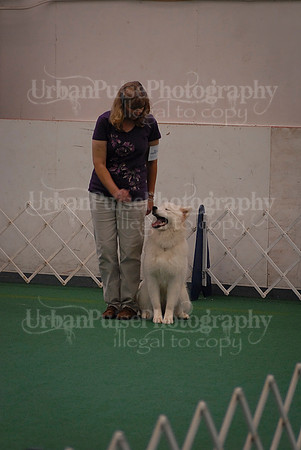 Obedience-3047