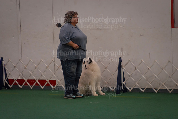 Obedience-3056