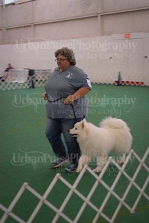Obedience-3058