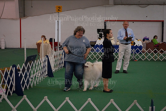 Obedience-3063