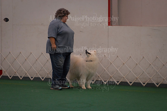 Obedience-3069