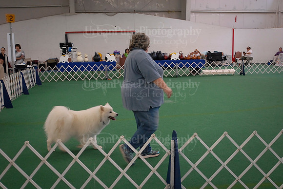 Obedience-3073