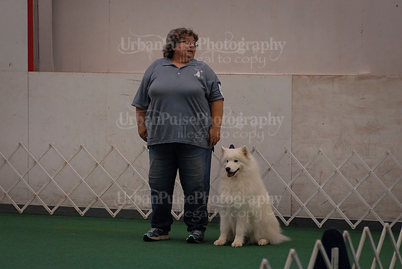 Obedience-3074