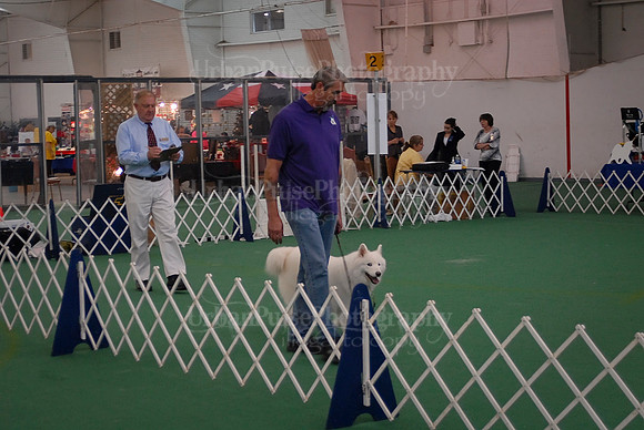 Obedience-3076