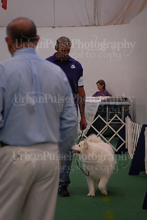 Obedience-3078