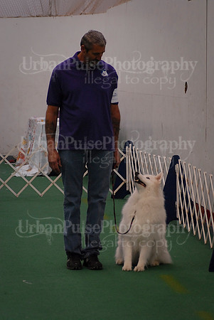 Obedience-3079