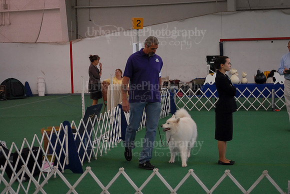 Obedience-3082