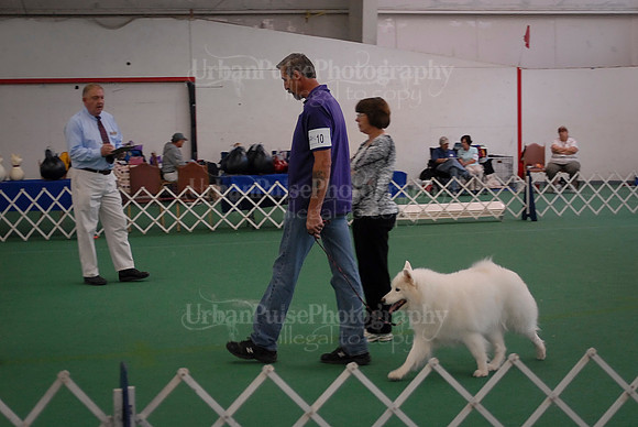 Obedience-3083