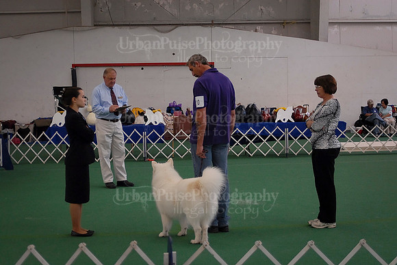 Obedience-3084