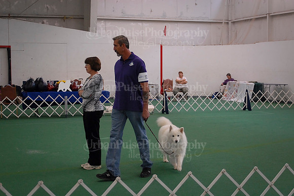Obedience-3086
