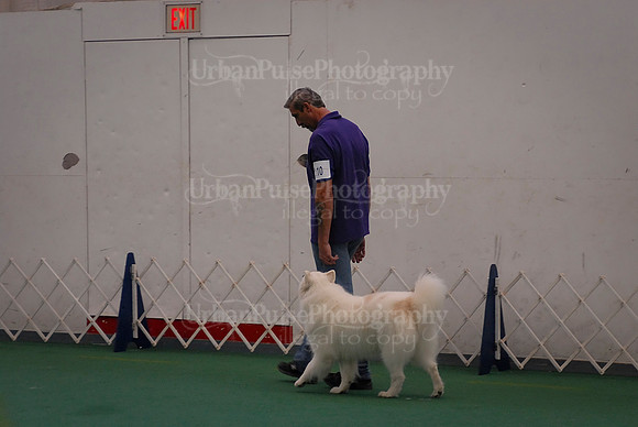 Obedience-3089
