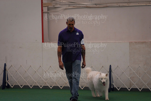 Obedience-3092