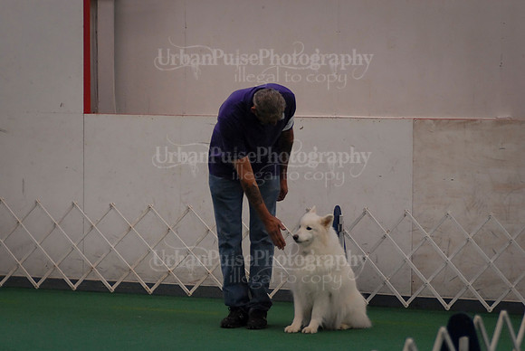 Obedience-3095