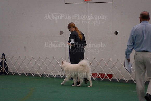 Obedience-3103