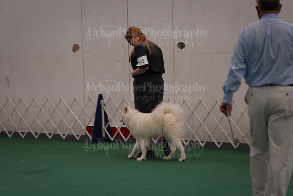 Obedience-3119
