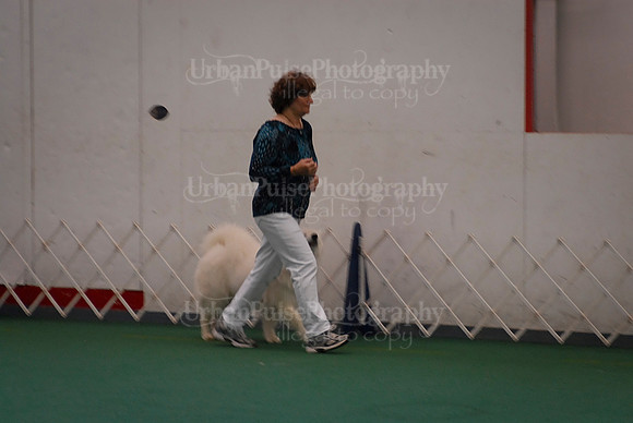Obedience-3138