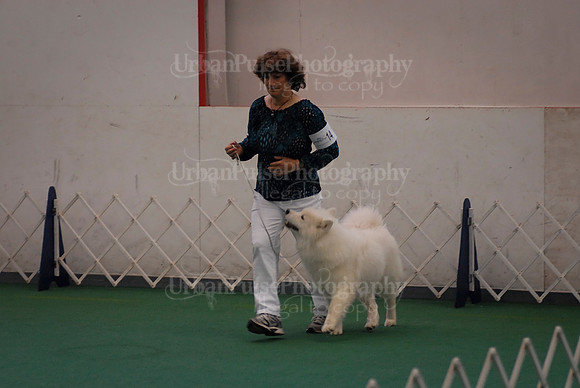 Obedience-3139