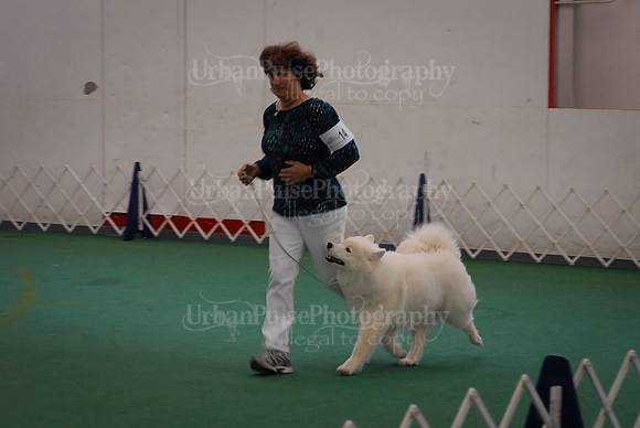Obedience-3140