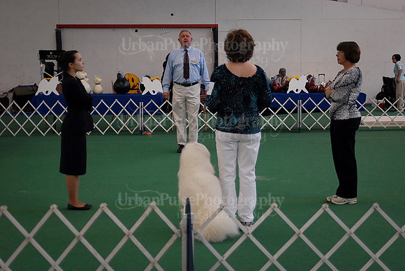 Obedience-3143
